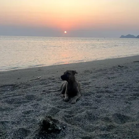 Sunset Serenity Cove Ko Pha Ngan Exterior photo